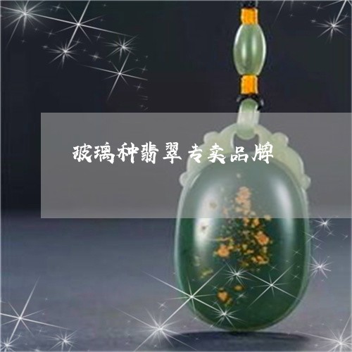 玻璃种翡翠专卖品牌/2023041305036 玻璃种翡翠专卖品牌/2023041305036