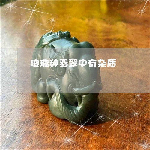玻璃种翡翠中有杂质/2023041331725