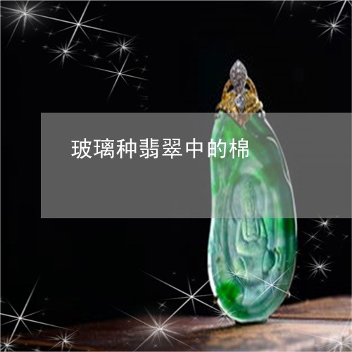 玻璃种翡翠中的棉/2023031517402