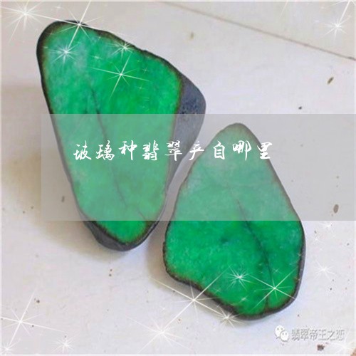 玻璃种翡翠产自哪里/2023041323259 玻璃种翡翠产自哪里/2023041323259