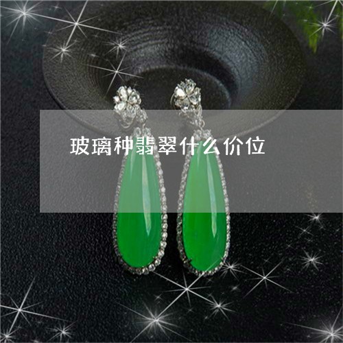 玻璃种翡翠什么价位/2023041314928 玻璃种翡翠什么价位/2023041314928