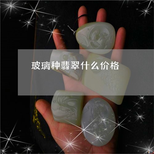 玻璃种翡翠什么价格/2023041352797