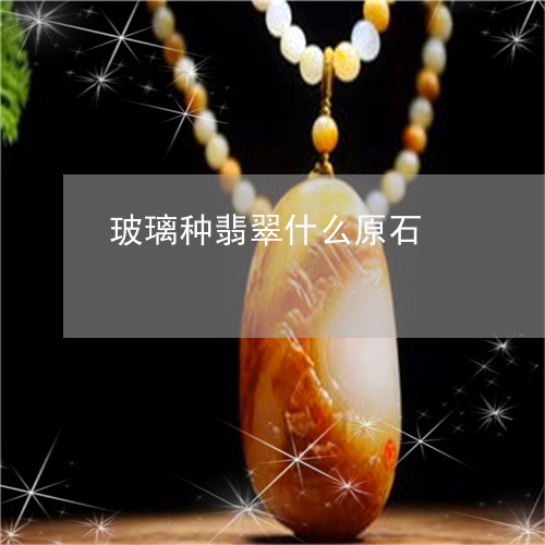 玻璃种翡翠什么原石/2023041332514