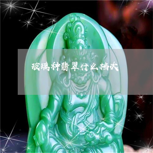 玻璃种翡翠什么档次/2023041339383