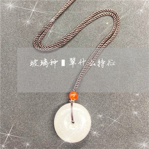 玻璃种翡翠什么特征/2023041393726