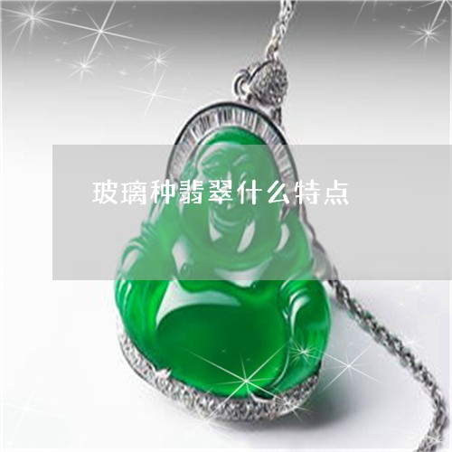玻璃种翡翠什么特点/2023041363604
