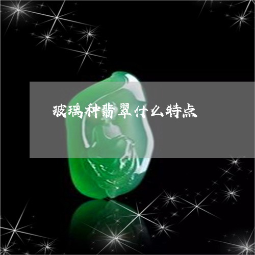 玻璃种翡翠什么特点/2023041373616