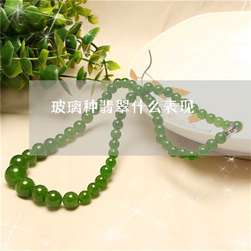 玻璃种翡翠什么表现/2023041355957