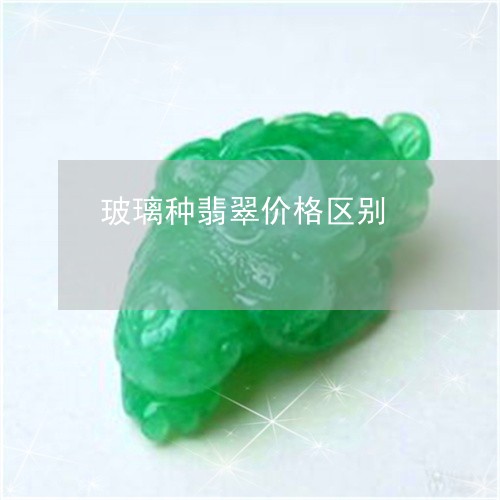 玻璃种翡翠价格区别/2023041342729 玻璃种翡翠价格区别/2023041342729