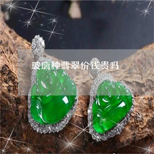 玻璃种翡翠价钱贵吗/2023041311695