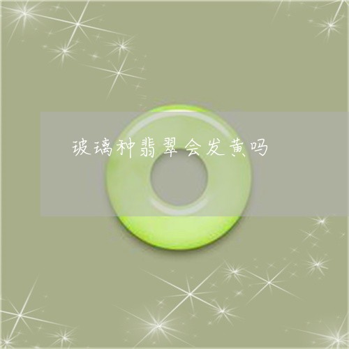玻璃种翡翠会发黄吗/2023041307970