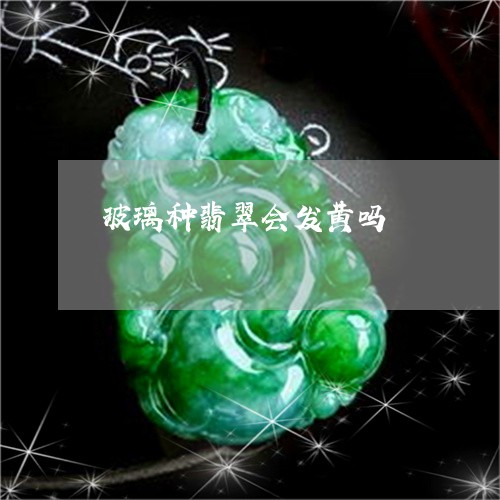 玻璃种翡翠会发黄吗/2023041325826