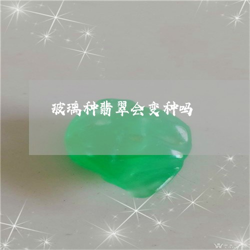 玻璃种翡翠会变种吗/2023041374707