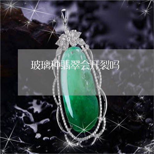 玻璃种翡翠会开裂吗/2023041315270
