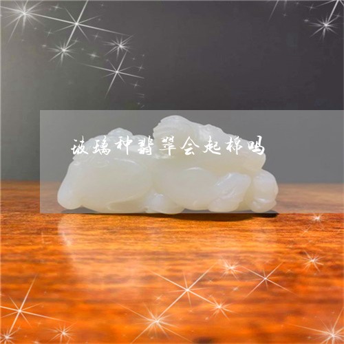 玻璃种翡翠会起棉吗/2023041373705
