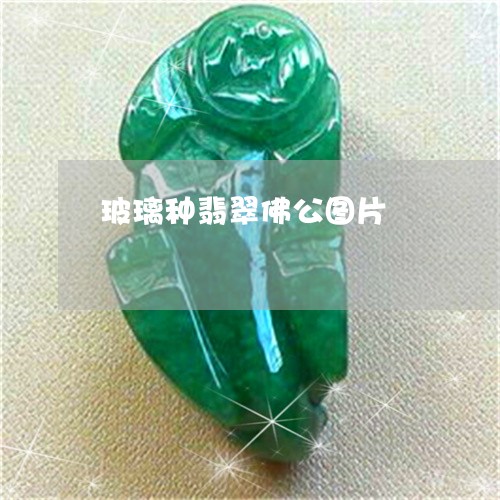 玻璃种翡翠佛公图片/2023041323139