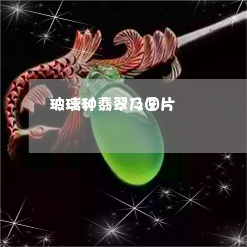 玻璃种翡翠及图片/2023031584060