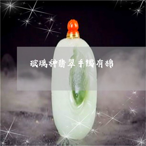 玻璃种翡翠手镯有棉/2023061646248