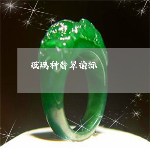 玻璃种翡翠指标/2023033039151 玻璃种翡翠指标/2023033039151