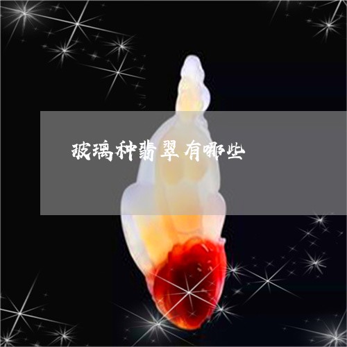 玻璃种翡翠有哪些/2023031530704