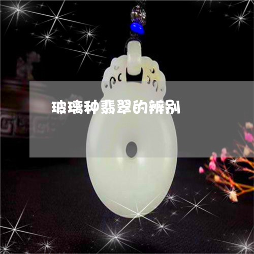 玻璃种翡翠的辨别/2023031501735