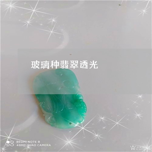 玻璃种翡翠透光/2023033007058 玻璃种翡翠透光/2023033007058