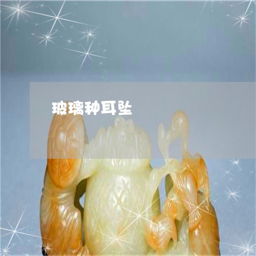 玻璃种耳坠/2023071407058