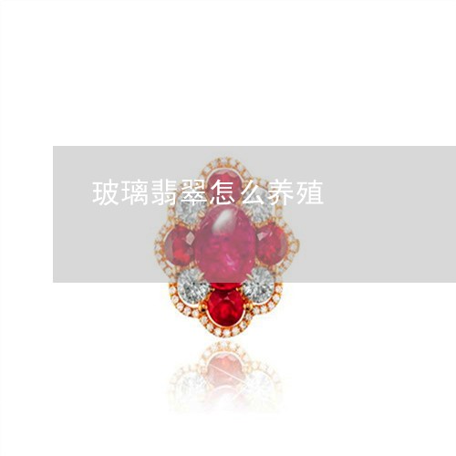 玻璃翡翠怎么养殖/2023031554271