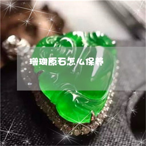 珊瑚原石怎么保养/2023031506348 珊瑚原石怎么保养/2023031506348