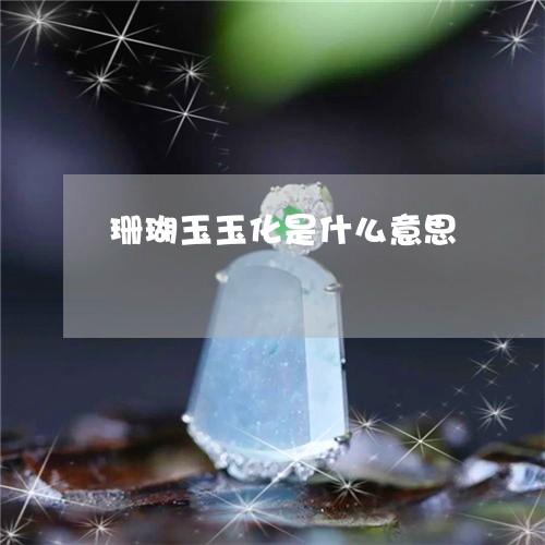 珊瑚玉玉化是什么意思/2023021640470 珊瑚玉玉化是什么意思/2023021640470