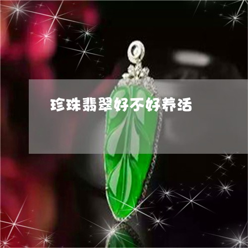 珍珠翡翠好不好养活/2023041319594