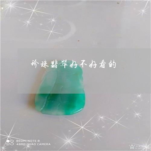 珍珠翡翠好不好看的/2023041339616
