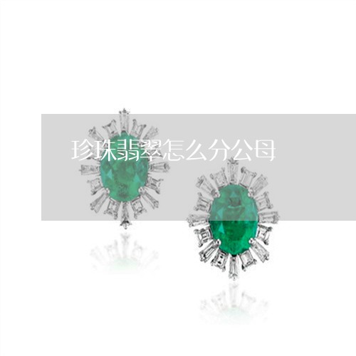 珍珠翡翠怎么分公母/2023041375606 珍珠翡翠怎么分公母/2023041375606