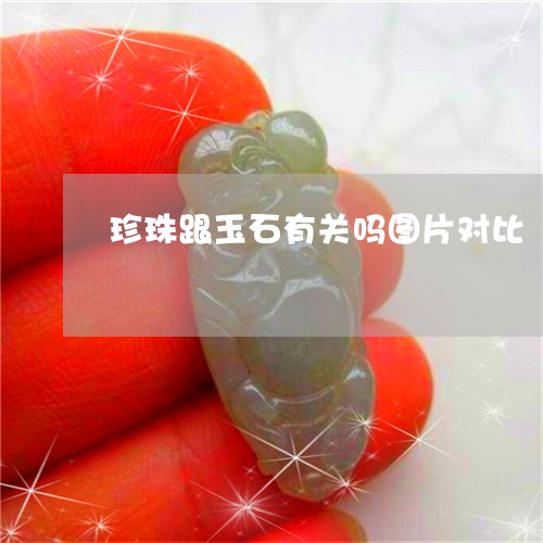 珍珠跟玉石有关吗图片对比/2023062952706