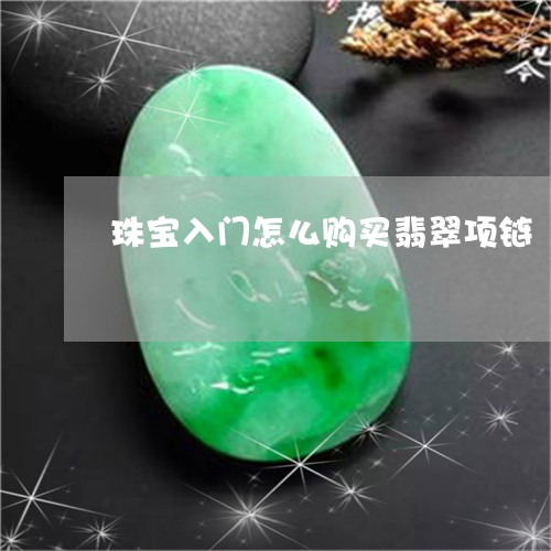 珠宝入门怎么购买翡翠项链/2023062974758 珠宝入门怎么购买翡翠项链/2023062974758