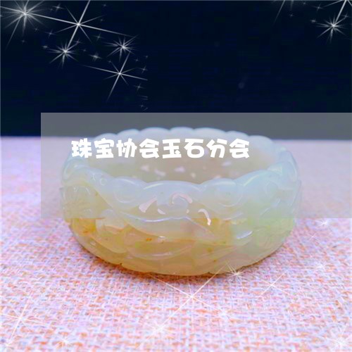珠宝协会玉石分会/2023031523936 珠宝协会玉石分会/2023031523936