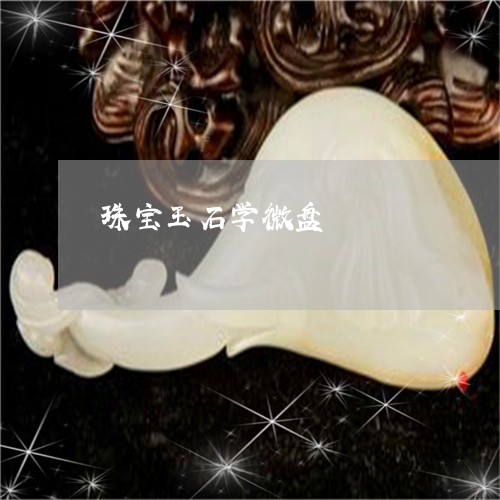 珠宝玉石学微盘/2023033041482 珠宝玉石学微盘/2023033041482