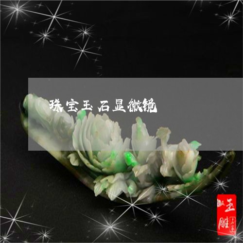 珠宝玉石显微镜/2023033041584 珠宝玉石显微镜/2023033041584