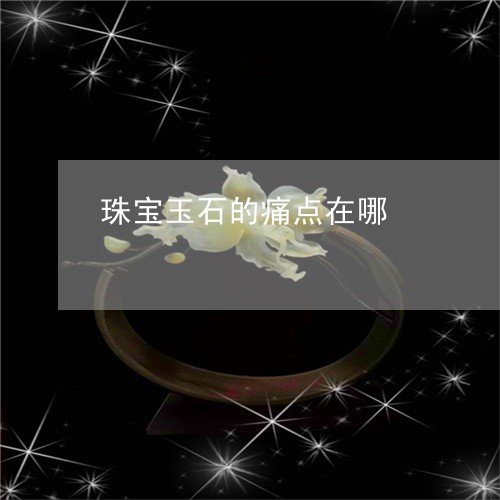 珠宝玉石的痛点在哪/2023041319470 珠宝玉石的痛点在哪/2023041319470