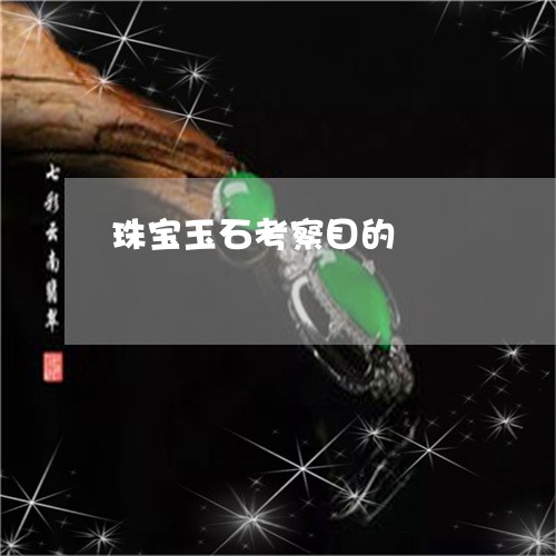 珠宝玉石考察目的/2023031567603 珠宝玉石考察目的/2023031567603