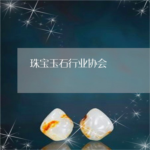 珠宝玉石行业协会/2023031586281 珠宝玉石行业协会/2023031586281