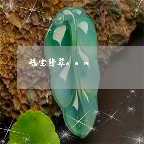 珠宝翡翠oem/2023032935048