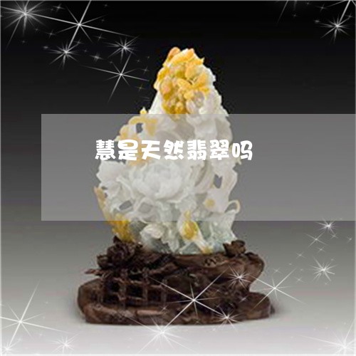 珺慧是天然翡翠吗/2023031623815 珺慧是天然翡翠吗/2023031623815