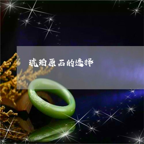 琥珀原石的选择/2023033097057 琥珀原石的选择/2023033097057