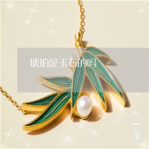 琥珀是玉石的吗/2023033039258