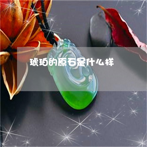 琥珀的原石是什么样/2023041315060