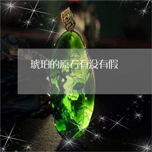 琥珀的原石有没有假/2023041316938
