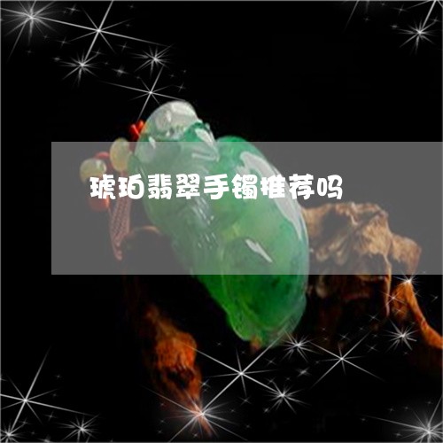 琥珀翡翠手镯推荐吗/2023041375130