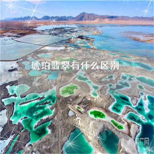 琥珀翡翠有什么区别/2023041315028
