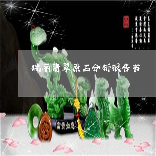 瑞丽翡翠原石分析报告书/2023060919717